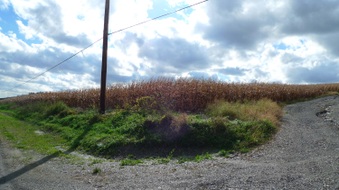 Enlarge photo 12