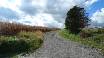Enlarge photo 13
