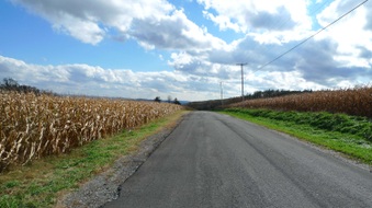 Enlarge photo 15