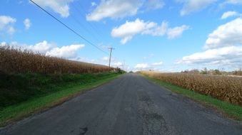 Enlarge photo 19