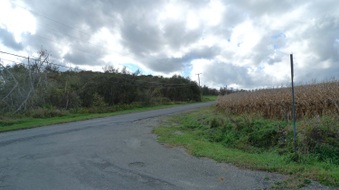 Enlarge photo 22