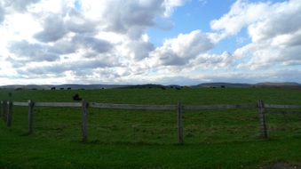 Enlarge photo 2