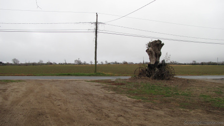Enlarge photo 8