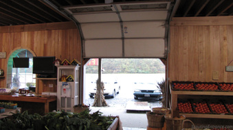 Enlarge photo 35