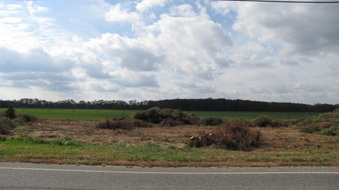 Enlarge photo 6