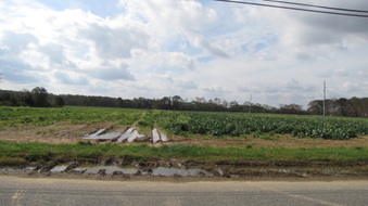 Enlarge photo 13