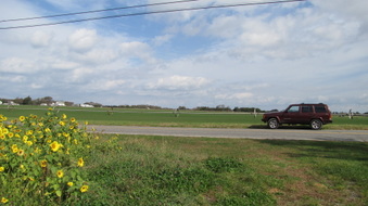 Enlarge photo 19