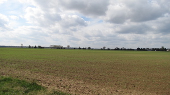 Enlarge photo 10