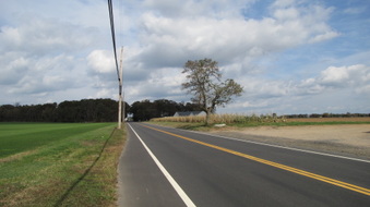 Enlarge photo 21