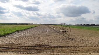 Enlarge photo 15