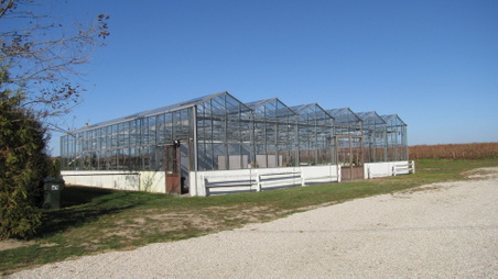 Enlarge photo 9