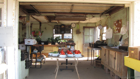 Enlarge photo 13