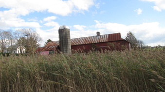 Enlarge photo 6