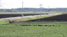 Enlarge photo 35