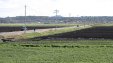 Enlarge photo 36