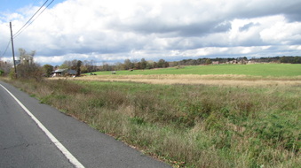 Rt. 207 - Orange County