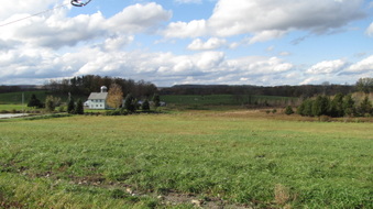 Enlarge photo 3