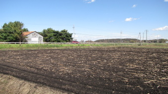 Enlarge photo 1