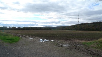 Enlarge photo 13