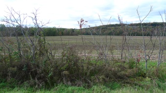 Enlarge photo 20