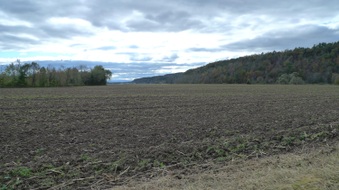 Enlarge photo 40