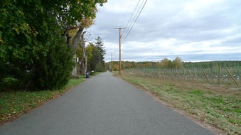 Old Indian Rd - Milton