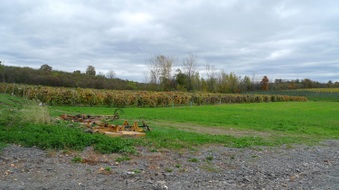 Enlarge photo 9