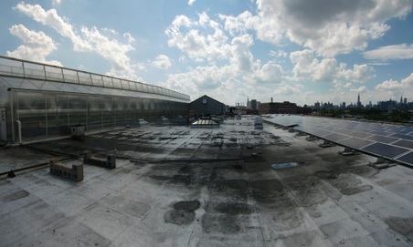 Enlarge photo 3