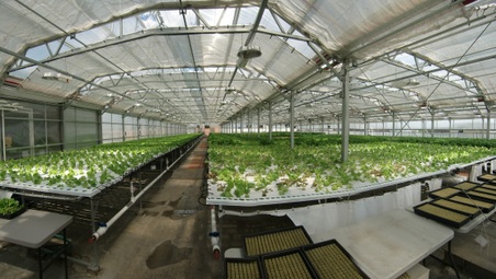 Enlarge photo 9