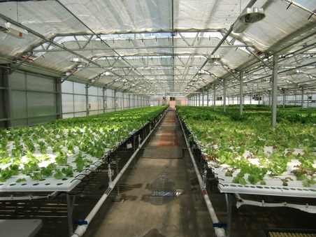 Enlarge photo 10
