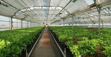 Enlarge photo 12