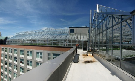Enlarge photo 36