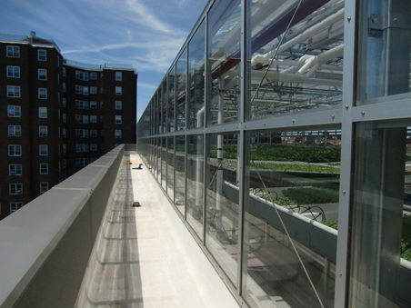 Enlarge photo 38