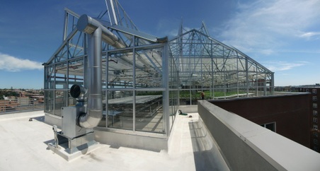 Enlarge photo 41