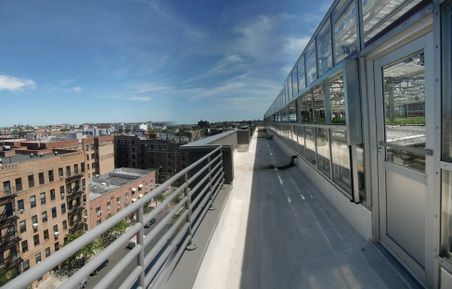 Enlarge photo 44