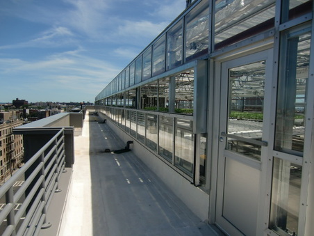 Enlarge photo 45