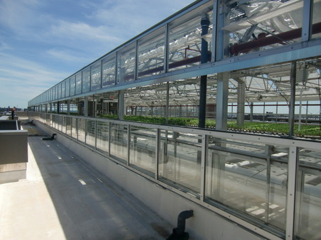 Enlarge photo 47