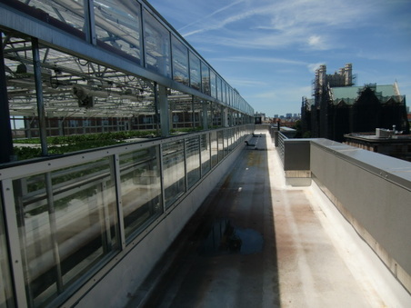 Enlarge photo 48