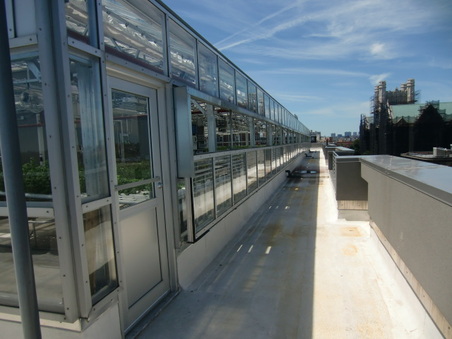 Enlarge photo 49