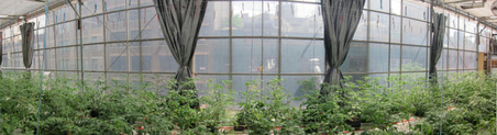 Enlarge photo 22