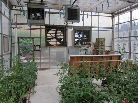 Enlarge photo 24