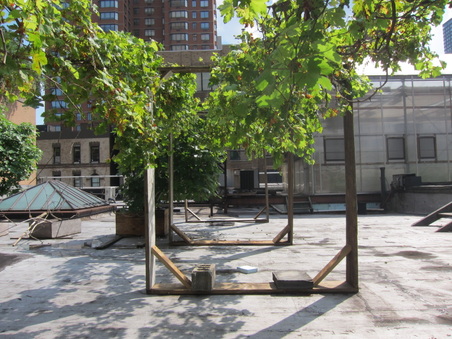 Enlarge photo 29