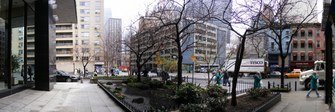Enlarge photo 16