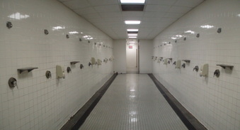 Lehman College