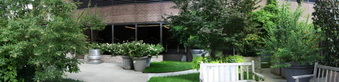 Enlarge photo 27
