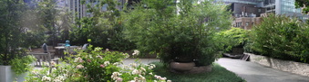 Enlarge photo 28