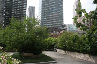 Enlarge photo 29