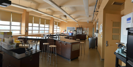 Enlarge photo 49