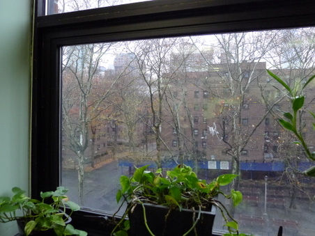 Enlarge photo 23