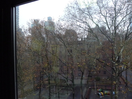 Enlarge photo 37